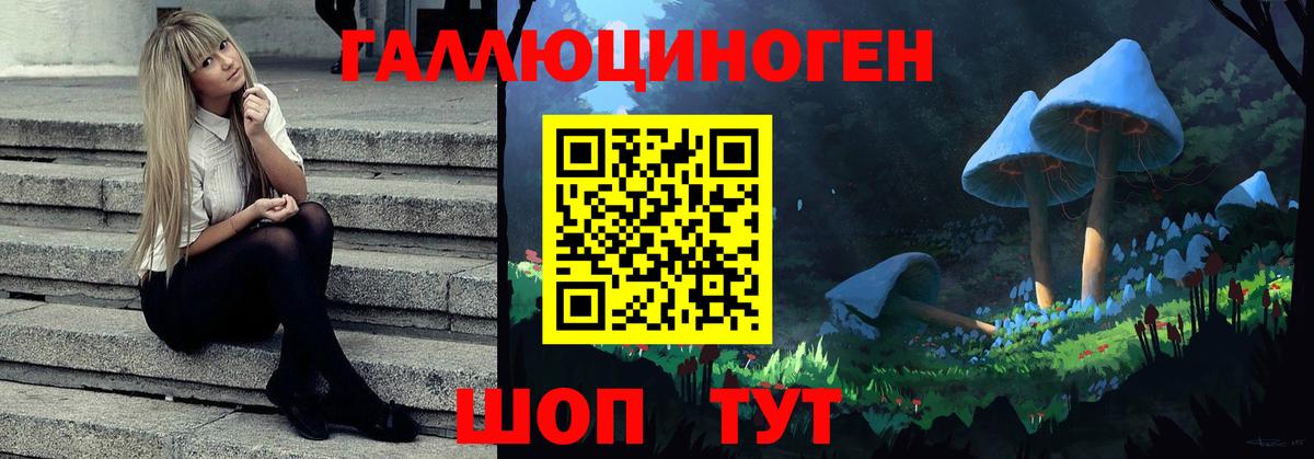Псилоцибиновые грибы GOLDEN TEACHER Донской